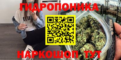ECSTASY Бугуруслан