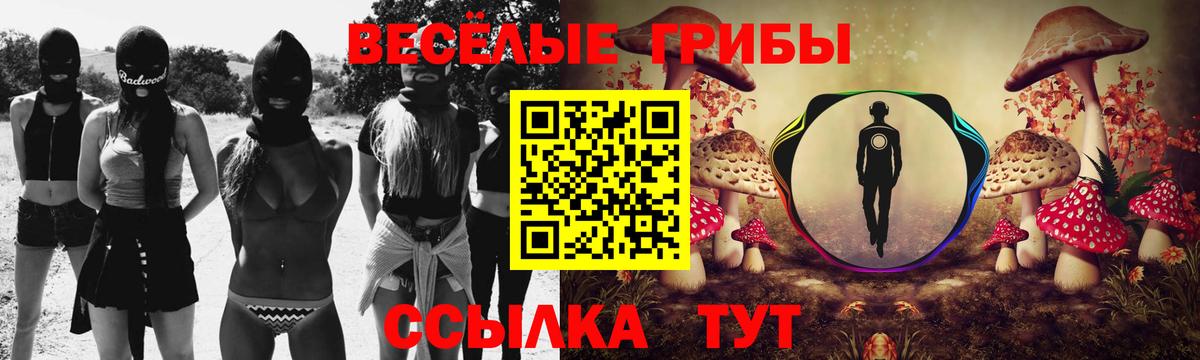 Прокопьевск  Псилоцибиновые грибы Psilocybe  Вход с VPN 